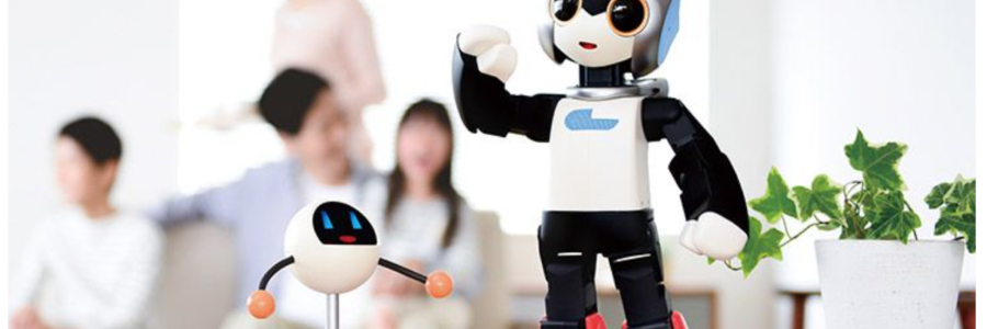 robi2